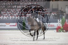 ref. photo 3398632