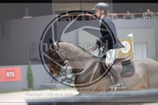 ref. photo 3398633