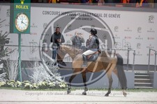 ref. photo 3398702