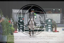 ref. photo 3398715