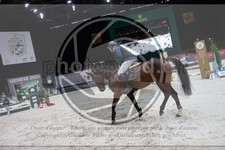 ref. photo 3398740