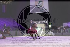 ref. photo 3398780