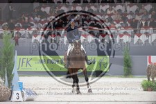 ref. photo 3398819