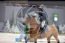 ref. photo 3398840