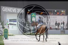 ref. photo 3398841