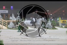 ref. photo 3398900