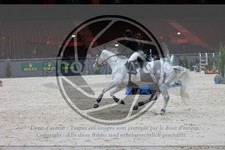 ref. photo 3398906