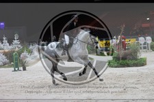 ref. photo 3398908