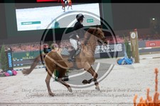 ref. photo 3398929