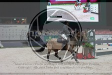 ref. photo 3398958