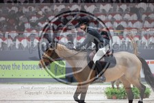 ref. photo 3398965