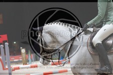 ref. photo 3398983