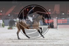 ref. photo 3399002