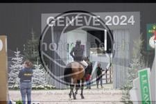 ref. photo 3399003