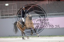 ref. photo 3399008