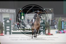 ref. photo 3399012