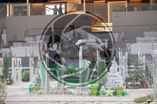 ref. photo 3399015