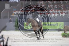 ref. photo 3399067