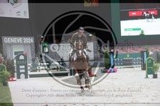 ref. photo 3399082