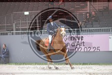 ref. photo 3399087