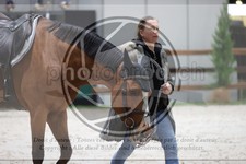 ref. photo 3399215