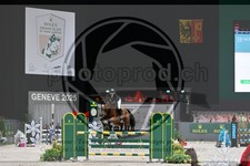 ref. photo 3895223