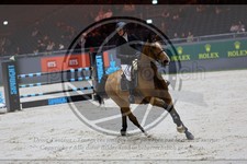 ref. photo 3895230