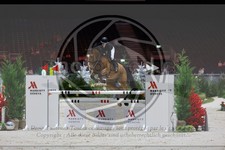 ref. photo 3895231