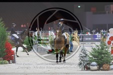 ref. photo 3895233
