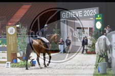 ref. photo 3895236