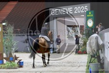 ref. photo 3895237