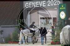 ref. photo 3895251