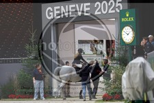 ref. photo 3895252