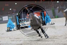 ref. photo 3895259