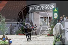 ref. photo 3895268