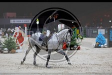 ref. photo 3895282