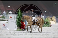 ref. photo 3895327