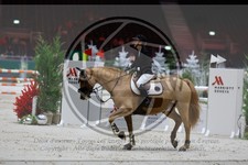 ref. photo 3895328
