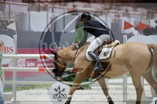 ref. photo 3895329