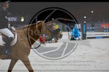 ref. photo 3895333