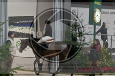 ref. photo 3895338