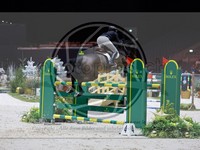 ref. photo 3895354