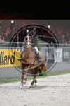 ref. photo 3895364