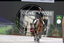 ref. photo 3895382