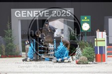 ref. photo 3895386