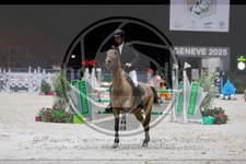 ref. photo 3895397