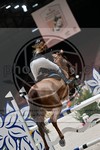 ref. photo 3895402