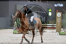 ref. photo 3895403