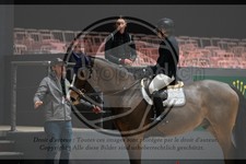 ref. photo 3895416