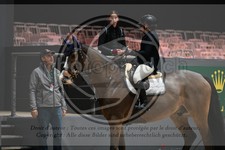 ref. photo 3895417